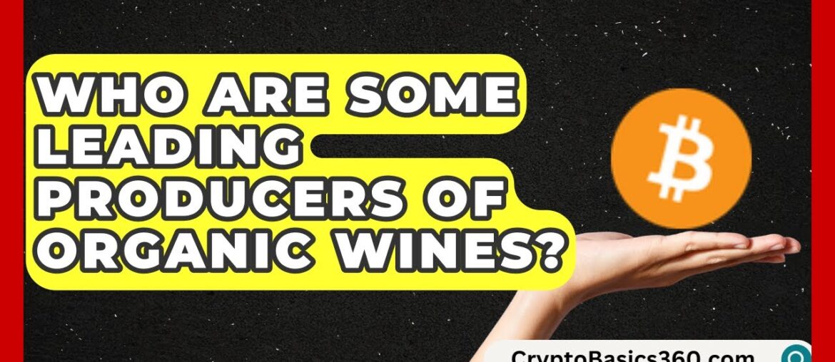 Who Are Some Leading Producers of Organic Wines? | Fine Wine Facts Who Are Some Leading Producers of Organic Wines? | Fine Wine Facts