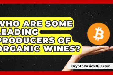 Who Are Some Leading Producers of Organic Wines? | Fine Wine Facts