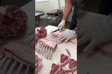 Frenched Rack of Lamb. #shorts #fyp #viral #trending
