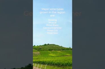 Alsace wine route main wine types and maps #alsace #reisling #muscat #pinot | pete renault trvl vlog