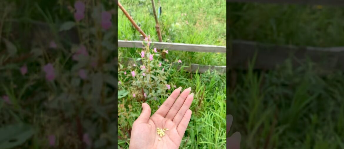 24 Hours of Magic in [pakistan] One Day, One Backpack, a Thousand Stories #adayinmylife #vlog #blog