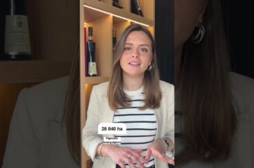 Dive into the wine of Burgundy: Pinot Noir, Chardonnay & Legendary Terroirs