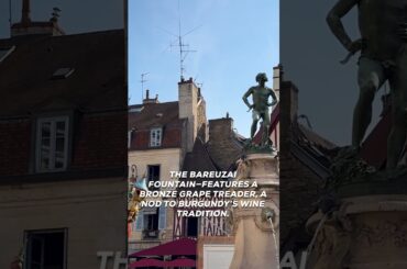 Dijon’s Most Charming Square #dijon  #french #History #Burgundy #wine  #Historical #france  #travel