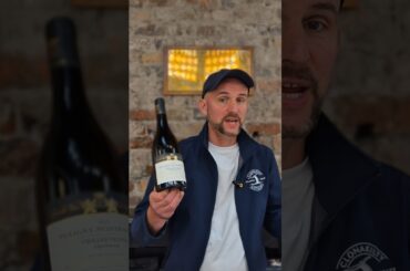 The grapes of Burgundy. What are the noble grapes in the Burgundy Wine Region?