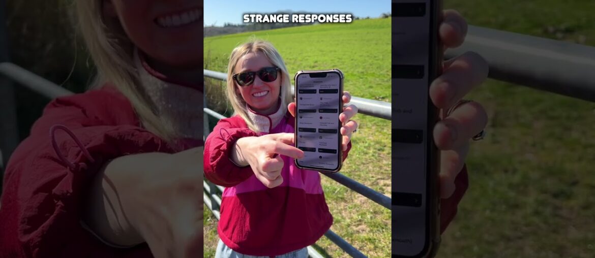 Fish & Chips North Vs South Fish & Chips North Vs South