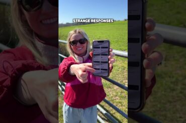 Fish & Chips North Vs South