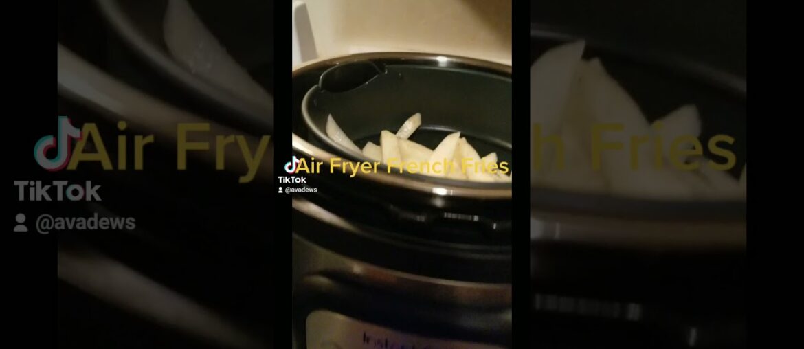 INSTANT POT AIR FRYER FRENCH FRIES