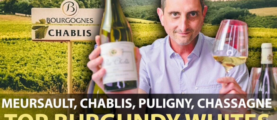 How are Meursault, Chablis, Puligny & Chassagne Montrachet Different? Top White Wines From Burgundy