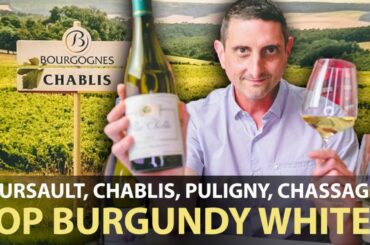 How are Meursault, Chablis, Puligny & Chassagne Montrachet Different? Top White Wines From Burgundy