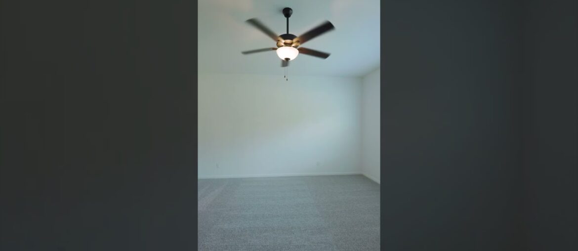 Welcome to the dynamic comforts and bold luxuries!