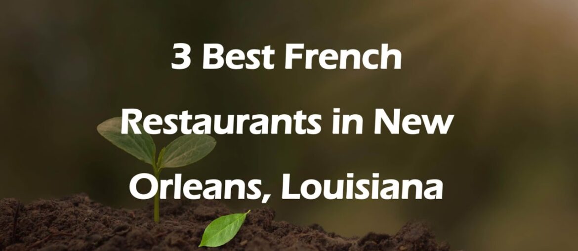 3 Best French Restaurants in New Orleans, Louisiana | French Cuisine 3 Best French Restaurants in New Orleans, Louisiana | French Cuisine