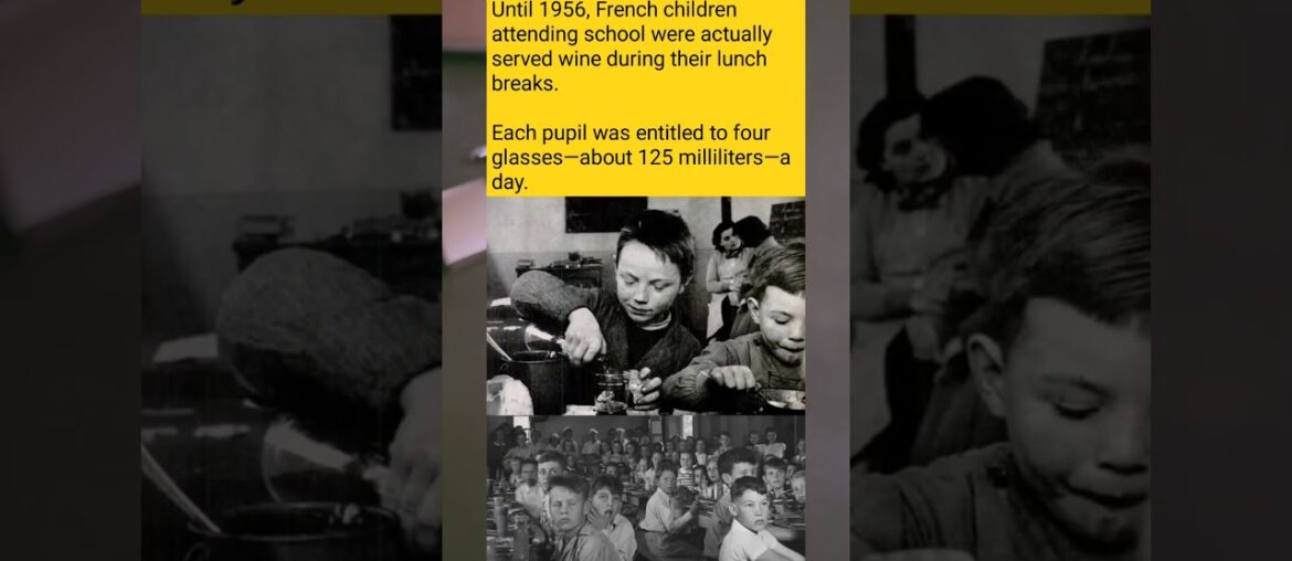 French Schools Used to Serve DAILY Wine to Children (4 Glasses Per Kid!)