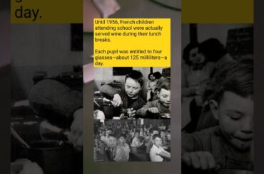 French Schools Used to Serve DAILY Wine to Children (4 Glasses Per Kid!)