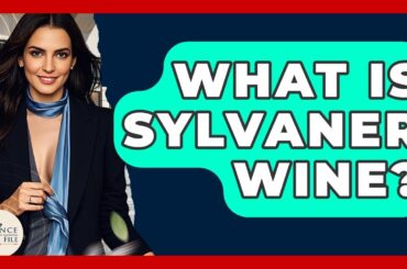 What Is Sylvaner Wine? - France Fact File