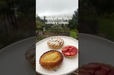 Just a week of my life in culinary school. Studying gourmet french cuisine. #frenchfood #gourmand