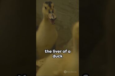 Wonderful traditional French food-Foie Gras