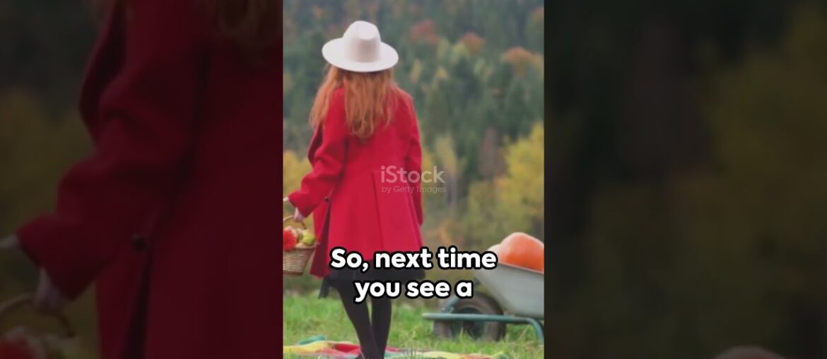 Autumn, Raclette & French : A Cheesy Affair ! #raclette #french #autumnleaves Autumn, Raclette & French : A Cheesy Affair ! #raclette #french #autumnleaves