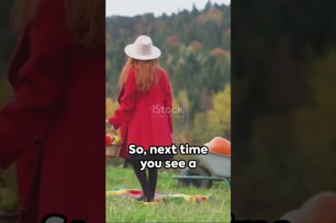 Autumn, Raclette & French : A Cheesy Affair ! #raclette #french  #autumnleaves