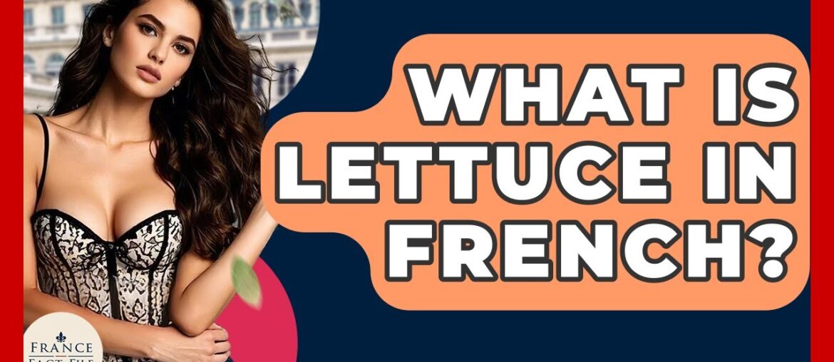 What Is Lettuce In French? – France Fact File What Is Lettuce In French? - France Fact File