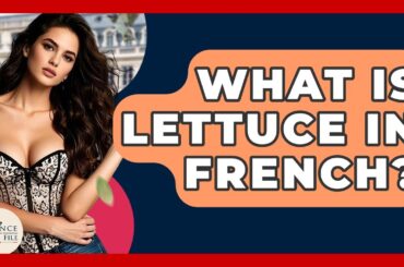 What Is Lettuce In French? - France Fact File