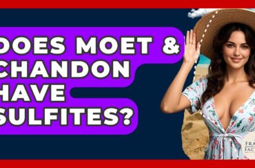 Does Moet & Chandon Have Sulfites? - France Fact File