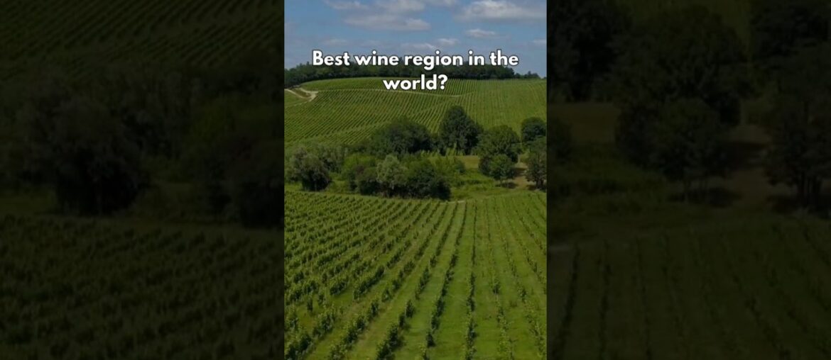 Can You Guess Where the Best Wine Comes From?