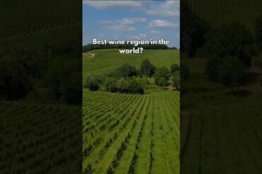 Can You Guess Where the Best Wine Comes From?