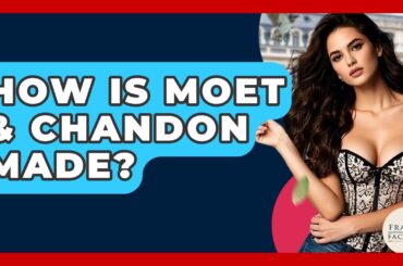 How Is Moet & Chandon Made? - France Fact File