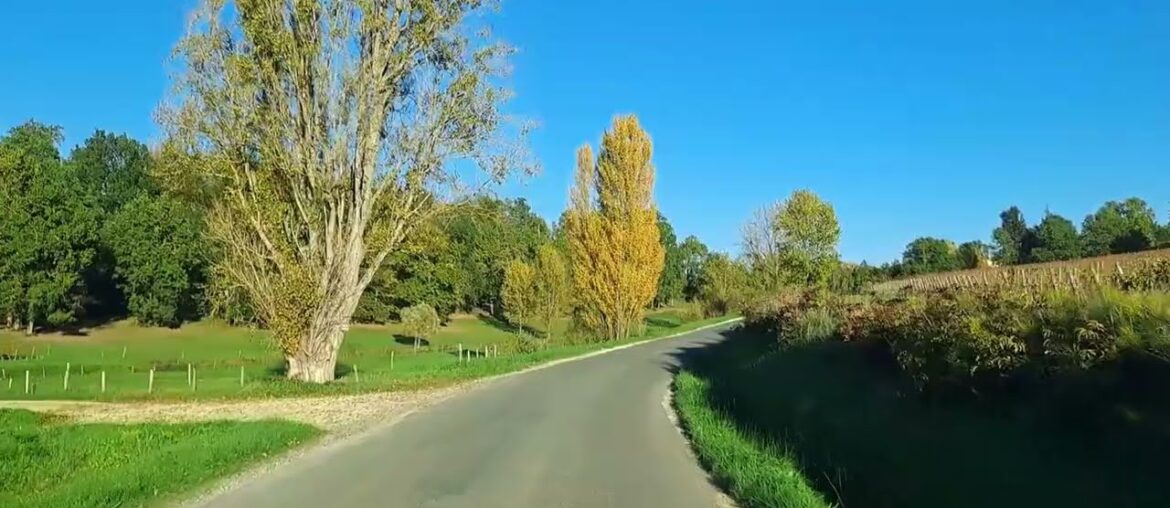 Bordeaux Vineyard in Autumn | French Countryside in November Bordeaux Vineyard in Autumn | French Countryside in November