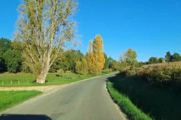 Bordeaux Vineyard in Autumn | French Countryside in November