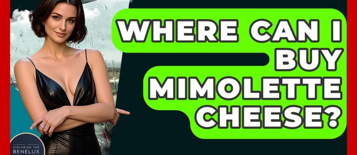 Where Can I Buy Mimolette Cheese? - Exploring The Benelux