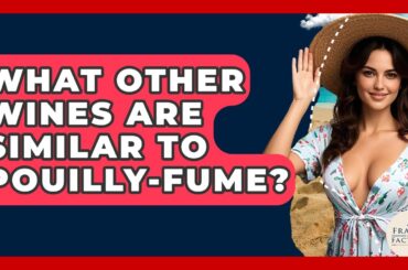 What Other Wines Are Similar To Pouilly-Fume? - France Fact File