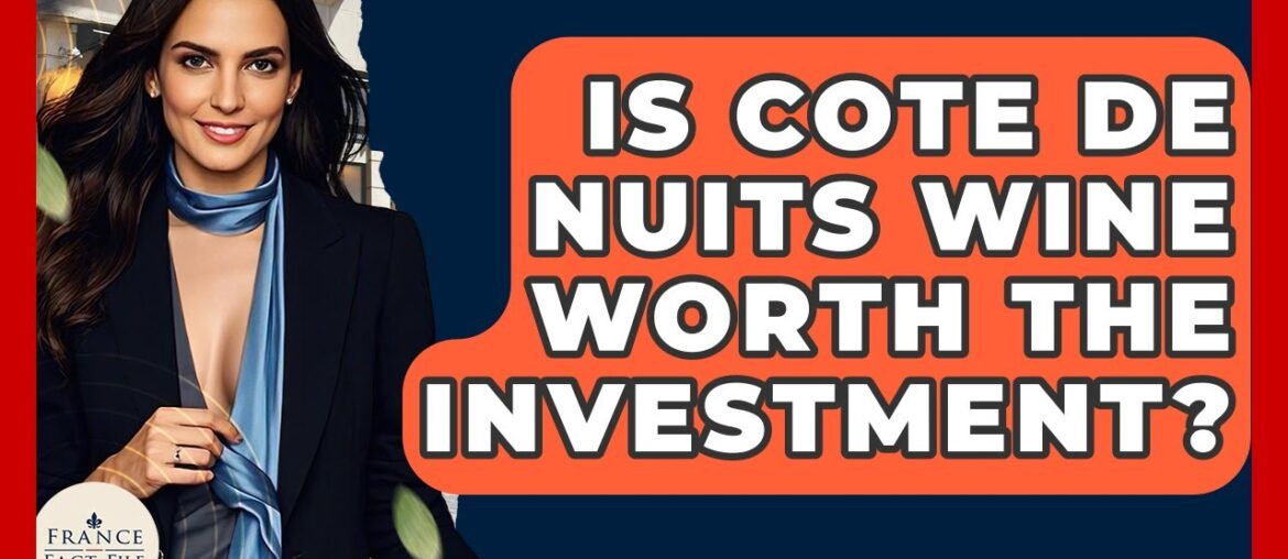 Is Cote De Nuits Wine Worth The Investment? - France Fact File