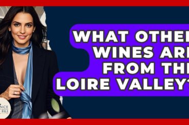 What Other Wines Are From The Loire Valley? - France Fact File