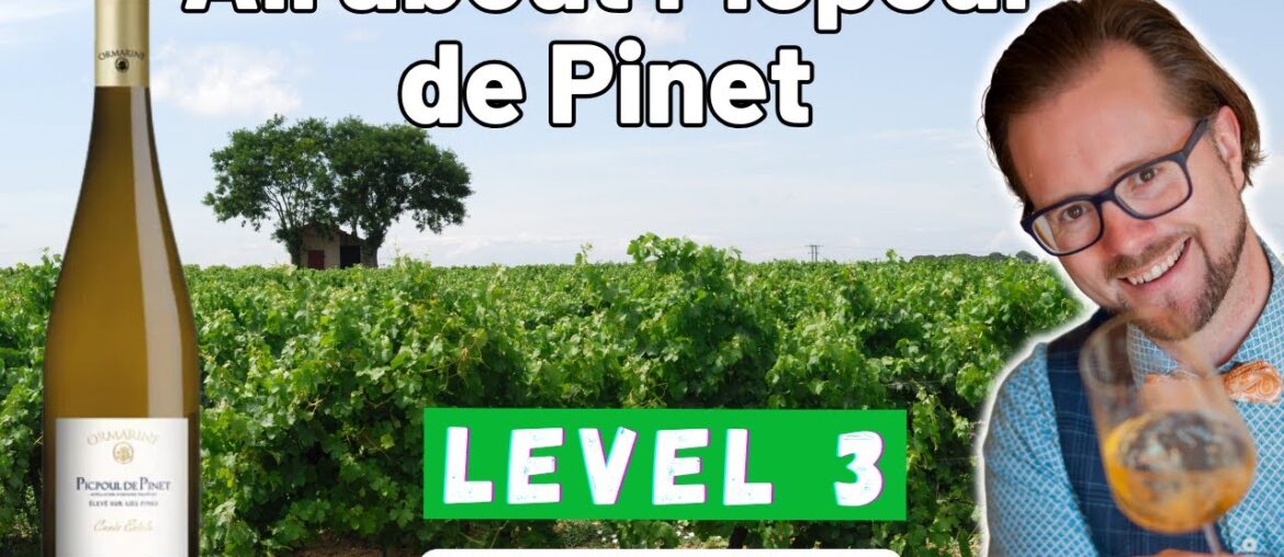 Picpoul de Pinet Explained | The Zesty French White Wine Perfect for Seafood