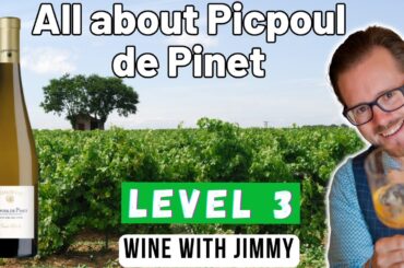 Picpoul de Pinet Explained | The Zesty French White Wine Perfect for Seafood