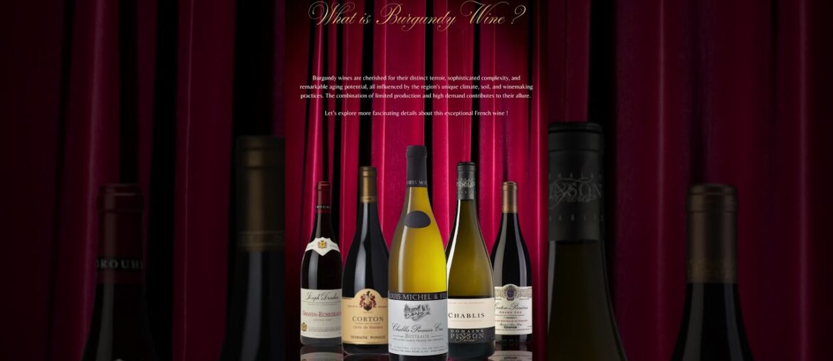 WINE OPENER | WINE VINTAGE REMOVAL |THE DURAND | MADE IN USA WINE OPENER | WINE VINTAGE REMOVAL |THE DURAND | MADE IN USA