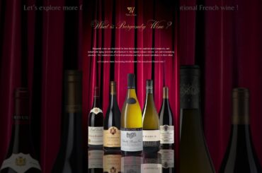 WINE OPENER | WINE VINTAGE REMOVAL |THE DURAND | MADE IN USA