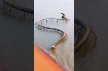 Places don’t feel real in France #travel #explore #adventure #nature