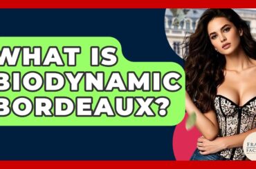 What Is Biodynamic Bordeaux? - France Fact File