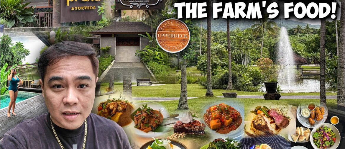 I ATE at ALL 5 Restaurants at The Farm at San Benito – Here’s What YOU NEED TO KNOW! I ATE at ALL 5 Restaurants at The Farm at San Benito - Here's What YOU NEED TO KNOW!