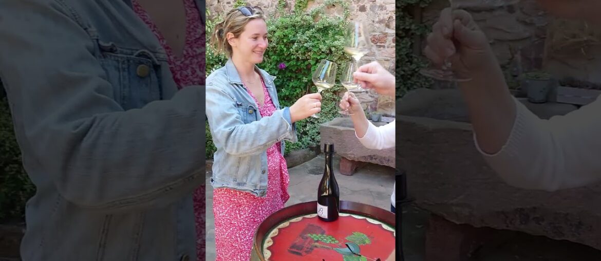 Unicorn Trails: Wine and Ebikes in France on our Alsace Gourmet Wine Trail