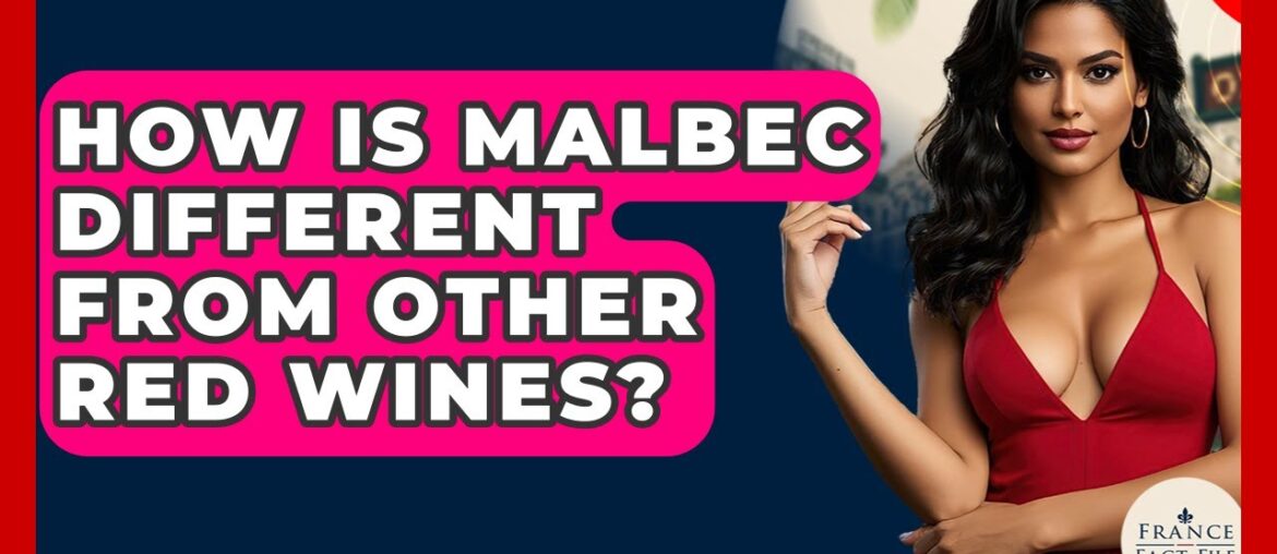How Is Malbec Different From Other Red Wines? – France Fact File How Is Malbec Different From Other Red Wines? - France Fact File
