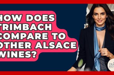 How Does Trimbach Compare To Other Alsace Wines? - France Fact File