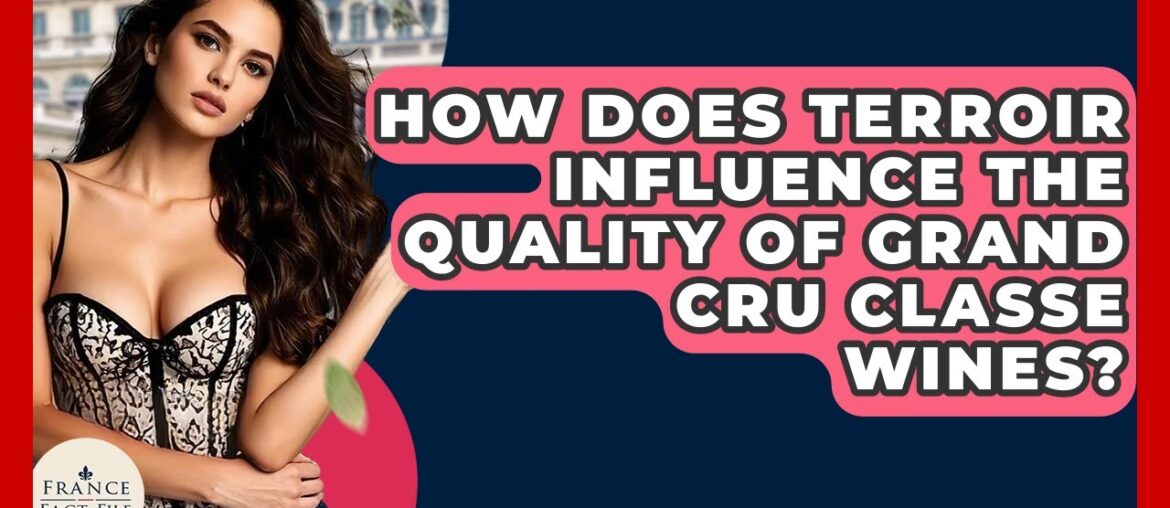 How Does Terroir Influence The Quality Of Grand Cru Classe Wines? - France Fact File