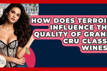 How Does Terroir Influence The Quality Of Grand Cru Classe Wines? - France Fact File