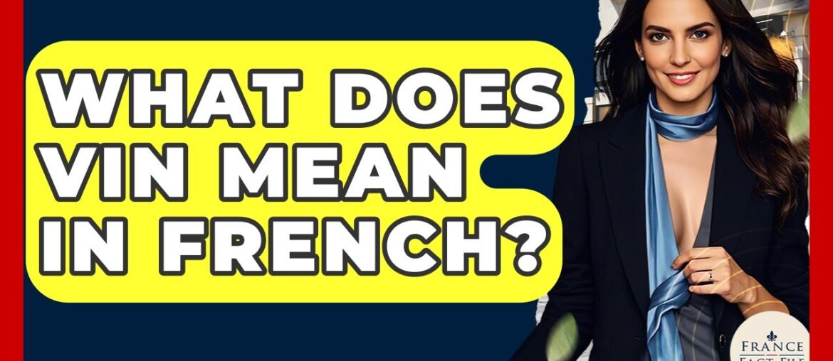 What Does Vin Mean In French? – France Fact File What Does Vin Mean In French? - France Fact File