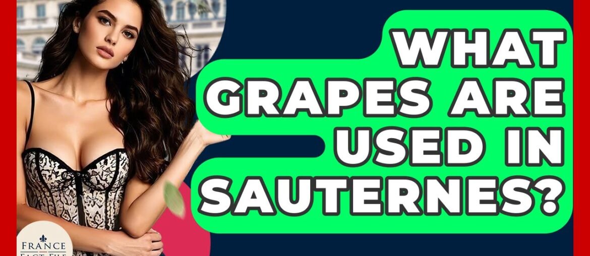What Grapes Are Used In Sauternes? – France Fact File What Grapes Are Used In Sauternes? - France Fact File