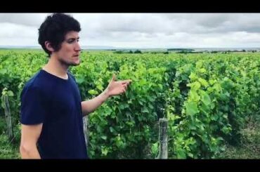 Pierre-Louis Waris from Champagne Waris-Larmandier - Avize - Artisan French Wine