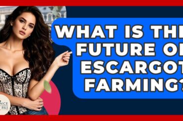 What Is The Future Of Escargot Farming? - France Fact File